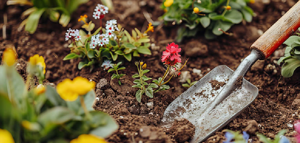 How to Clean Shovel