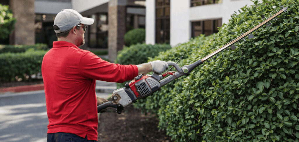 How to Clean a Hedge Trimmer