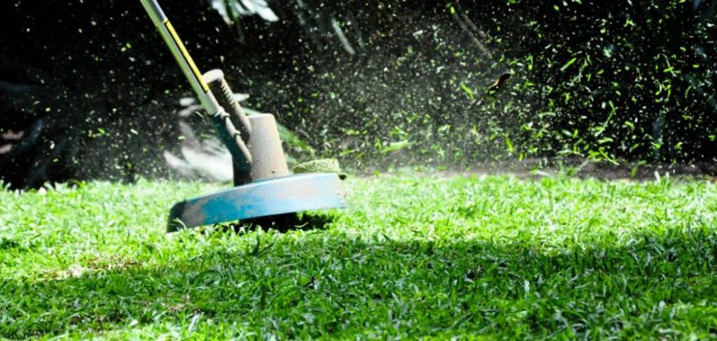 How to Use a Lawn Trimmer