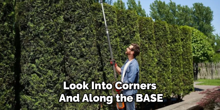 Look Into Corners
And Along the BASE