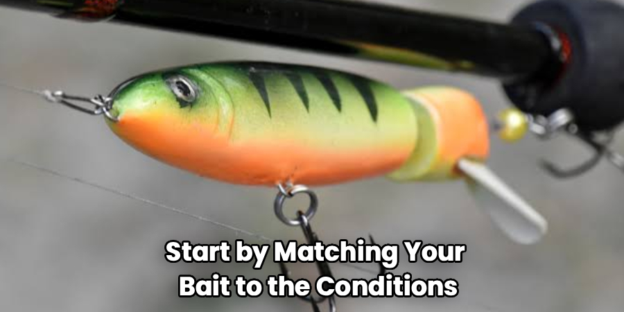 Start by Matching Your
Bait to the Conditions
